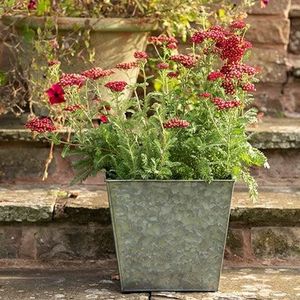 Pots de fleurs en fer pour la maison et le jardin - Durables, légers, vente en gros pour les acheteurs en gros - Product Image 1