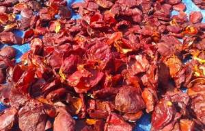 Fourniture de Gac rouge foncé naturel vietnamien - Product Image 5