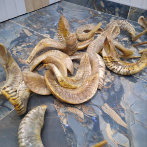 Shofar en corne de bélier de qualité supérieure, corne naturelle pour souffler le shofar à la fête de Rosh Hashanah, shofar casher de qualité supérieure, corne de bélier polie - Product Image 1