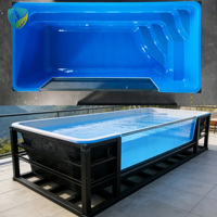 Piscine hors sol personnalisée avec structure en fibre de verre et support en acier pour jardin, usage familial en extérieur