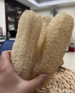 BEST PRICE / 100% <b>NATURAL</b> LUFFA CHEAP / RAW LOOFAH <b>SPONGE</b> VIETNAM - Product Image 6