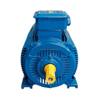 Moteur asynchrone triphasé 15KW 20HP IE4 Super Premium Efficiency, 2/4 pôles, 1450/2800 tr/min, 380V/50 60Hz, 100% cuivre, IP55