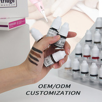 Encre de maquillage semi-permanent NUOJO, fabrication en usine, personnalisation de la marque privée, pigment de maquillage permanent, couleur pour sourcils, végétalien