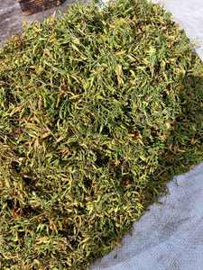 ดอกมะละกอตัวผู้ตากแห้งคุณภาพสูง-ผู้ขายที่ดีที่สุดของคุณสำหรับการแช่สมุนไพรเพื่อสุขภาพ! -บัวสีน้ำเงินเวียดนาม - Product Image 2