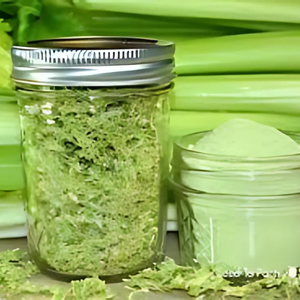 Polvo de apio para uso dietético en bebidas y cocina | Hojas de apio secas perfectas para aplicaciones culinarias | Alta calidad - Product Image 6