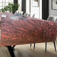 Dalle de granit sud brun tan de meilleure qualité Carrelages Design moderne Pierre naturelle polie pour sols de villas Fourniture en gros Inde