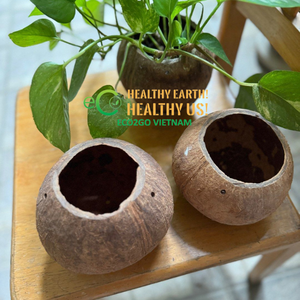 100% pas cher prix bol de noix de coco naturel/bol de noix de coco écologique/Mini bol de noix de coco graver Logo Laser - Product Image 3