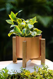 Nouvelle arrivée Antique Flower Planter Pot de jardinage Home Decor prix de gros de l'Inde - Product Image 6