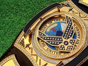 Vente en gros OEM/ODM personnalisé 4MM d'épaisseur en cuir premium ceinture de championnat de lutte et de boxe ceinture lourde - Product Image 2