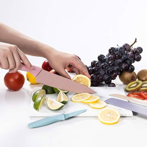 Set di 6 Coltelli da Cucina Evryealth in Colori Pastello con Logo Personalizzato, Materiale Metallo e Plastica, Manico Cavo, Coltello Multiuso per Uso Ristorante - Product Image 4