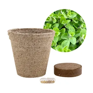 Gadget Semi-Biodegradabili Eco-Friendly, Vaso per Paprika Ecologico per Fioriere e Vasi da Giardino - Product Image 3