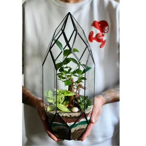 Terrario de decoración de mesa de vidrio transparente con acabado negro superventas vintage, terrario Natural de jardín de forma cuadrada de tamaño personalizado - Product Image 5