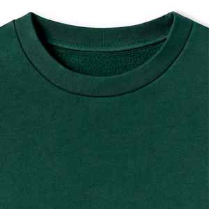 Sweat-shirt d'hiver unisexe surdimensionné personnalisé streetwear, imprimé uni, en polyester et coton, col rond, sweat-shirt en molleton French Terry - Product Image 5