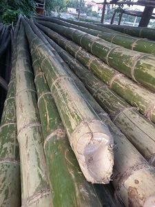 Fabricación a granel de palos de bambú en Vietnam para mayoristas de exportación - Product Image 3