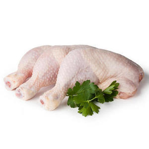 Entrega Rápida de Muslos de Pollo Halal Congelados Premium - Product Image 5