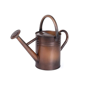 Arrosoir en métal avec long bec pour la décoration Arrosoir parfait pour plantes d'extérieur - Product Image 6