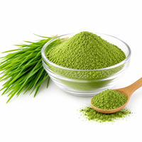 Poudre d'herbe de blé de haute qualité en gros, naturelle, à base de feuilles entières, qualité alimentaire, OEM ODM, marque privée, approvisionnement en vrac direct usine