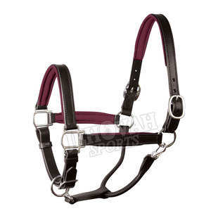 Cabestro de cuero acolchado para caballos hecho a mano, estilo inglés, para todas las estaciones, para uso en equitación, hecho en Pakistán - Product Image 4