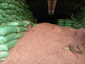 แกลบเม็ดมะม่วงหิมพานต์สำหรับให้อาหารสัตว์และเชื้อเพลิงส่งออกจากเวียดนามในโรงงานราคาขายส่ง - Product Image 6