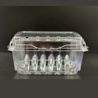 Contenitore per Frutta Biodegradabile Ecologico in HIPS Trasparente Verniciato, Usa e Getta, Sicuro per Alimenti, Personalizzabile, Design a Conchiglia per Uso Domestico