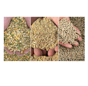 Alimentos para pollos de engorde densos en proteínas a la venta en pedidos a granel a un precio muy bajo y competitivo - Product Image 2