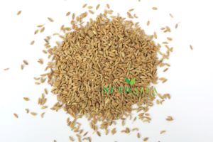 Exportation En Gros Graines De Fenouil Assaisonnement Herbes Épices - Product Image 2