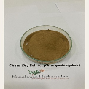 สารสกัดจากต้นซิสสุส ควอดรังจูลาริส คุณภาพสูง 100% จากธรรมชาติ เกรดอาหาร ผงสมุนไพรสกัดด้วยตัวทำละลาย ราคาดี บรรจุในถัง - Product Image 5