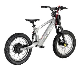 ฟลายอิ้งฟ็อกซ์ อีเล็คทริค ยูธ 18'' ดิร์ทไบค์ - 500W 36V - Product Image 1