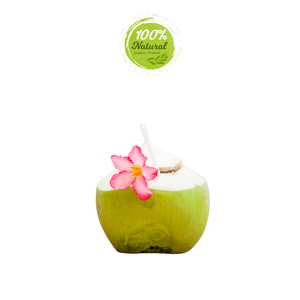 มะพร้าวสดจากเวียดนามของขวัญธรรมชาติสดชื่นจากผลิตภัณฑ์ทางการเกษตร - Product Image 5