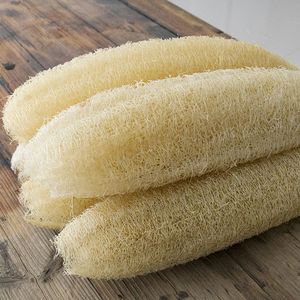 VIET FARGIMEX 100% Luffa entier biologique exfoliation naturelle de source durable style simple - Product Image 4