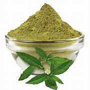 Bhringraj สเปรย์เกรดอาหารเพื่อสุขภาพเกรดอาหารผงใบแห้งจากธรรมชาติที่ได้รับการปลูกฝังธรรมชาติของญี่ปุ่น99% แห้ง - Product Image 2