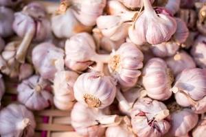 กระเทียมขาวสดขายส่งจำนวนมาก คุณภาพส่งออก เกรดอาหาร ได้รับการรับรอง FSSAI ISO HACCP ความบริสุทธิ์ 99%+ อายุการเก็บรักษา 1 ปี สำหรับมืออาชีพ - Product Image 4