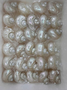 Papel pintado hecho a mano de concha marina impermeable artesanal para decoración de baño - Product Image 2