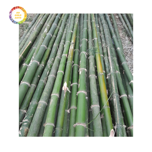 เสาไม้ไผ่พรีเมี่ยมสำหรับกรอบสวนงานก่อสร้างและงานสร้างสรรค์มีความทนทานและราคาไม่แพง - Product Image 5