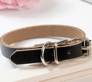 Collier de chien en cuir vert de haute qualité pour lévrier et Whippet - Product Image 2