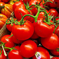 Cao Cấp Địa Phương Trang Trại Tươi <span class=keywords><strong>Cherry</strong></span> Cà Chua Bán Buôn Nhà Nhập Khẩu Số Lượng Lớn Chất Lượng Trái Cây Và Rau Quả - Product Image 3