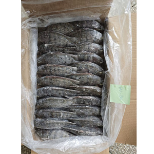 Pescado Tilapia Congelado BQF |   Precio Competitivo |   Suministro Mayorista Confiable para Importadores de Malí - Product Image 2