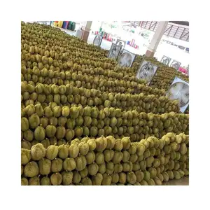 Descubra o melhor da Tailândia: Fresh Cut Durian, agora disponível para importação e alta qualidade Sweet Fresh Durian Pack in Box