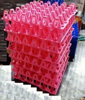Plateau à œufs carré moderne Apex 123 en plastique, capacité de 20 œufs, réutilisable, durable, empilable, épaisseur 4 mm, matériau PP, usage commercial