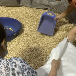 Funda de Asiento de Madera con Cuentas para Mayor Comodidad en Viajes Largos - Product Image 5