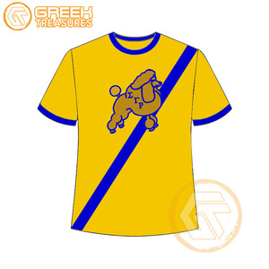 Vente en gros de t-shirt Sigma Gamma Rho pour femmes vêtements de sororité jersey de coton t-shirt respirant de haute qualité vêtements grecs pour femmes - Product Image 4