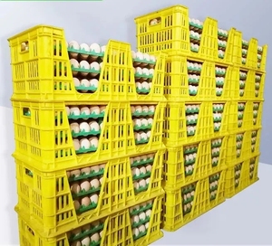 240 Trứng Thùng nhựa gà trứng Giao thông vận tải thùng với khay trứng Trọng lượng nhẹ và bền - Product Image 2