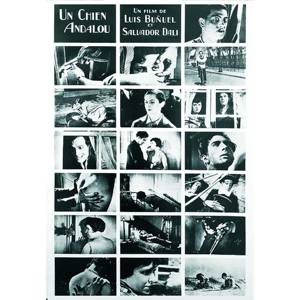 โปสเตอร์ตกแต่งผนังสไตล์โมเดิร์นสำหรับสุนัขพันธุ์แอนดัลูเซีย - Product Image 1