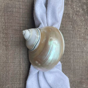 Anillos de Servilleta de Concha Marina de Vietnam Pulidos, Diseño Doris Moderno y Lujoso, Ecológico y Duradero para Mesa de Fiesta - Product Image 1