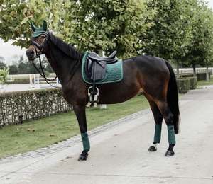 Tela satinada personalizada, almohadilla de sillín de doma en inglés, Logo de algodón, Color Cob, Material de forro, espuma de origen, tamaño completo, LLT - Product Image 6