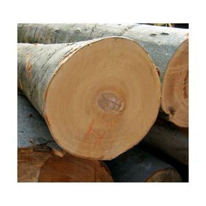 มือกดรถโมเดลรถไม้สำหรับเด็ก17ง่ายตู้มือจับสีไม้บีชไม้จับตัวการ์ตูนน่ารัก - Product Image 2