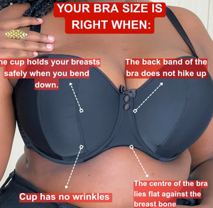 <span class=keywords><strong>Reggiseno</strong></span> da balcone senza spalline imbottito con cinghie regolabili rimovibili cablate taglie forti da donna di vendita calda di fabbrica - Product Image 4