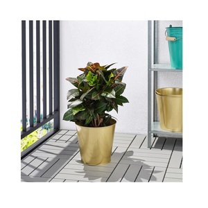 Haute qualité maison jardin décoratif en laiton Pots et jardinière Logo personnalisé intérieur extérieur utilisation laiton Pot de fleur prix abordable - Product Image 4