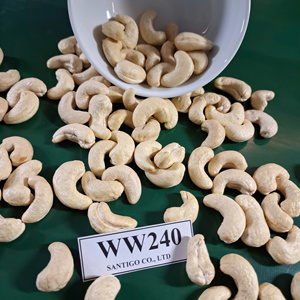 ซันติโก้ WW240เม็ดมะม่วงหิมพานต์แบบพรีเมี่ยมเคอร์เนล Kaju badam ISO, HACCP - Product Image 1