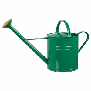 Arrosoir en métal finition crème, prix de vente élevé pour les plantes d'intérieur et d'extérieur, plantes de jardin, pulvérisation d'eau pour pot - Product Image 5